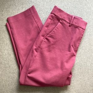 Loft Perfect Straight Pants in Burgundy